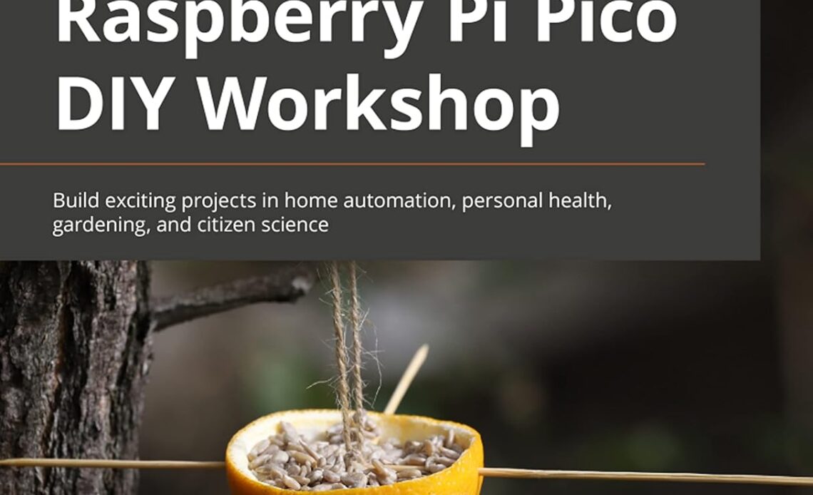 Raspberry Pi projects