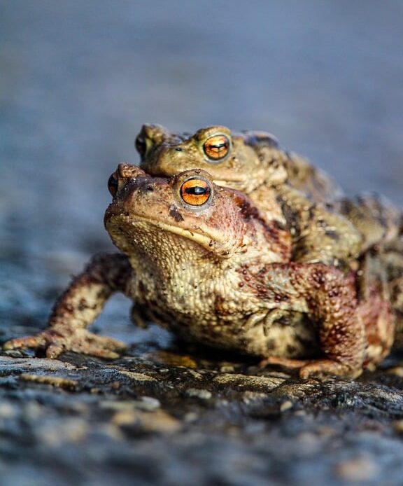 5 Common Mistakes to Avoid When Buying Wireless Earbuds