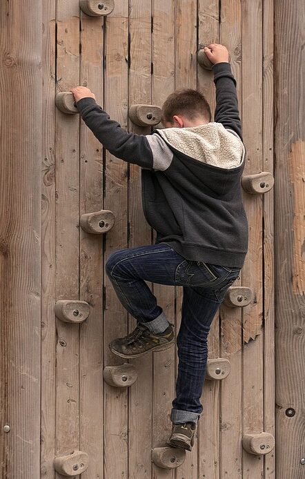 A Beginner's Guide to Choosing the Best Linux Distribution for Your Needs