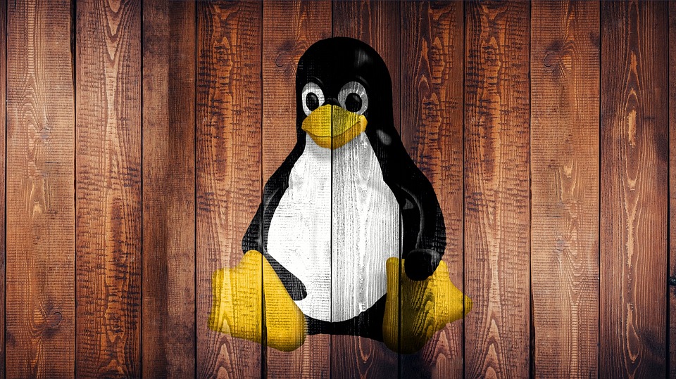 Linux Distribution News: Critical Patch Released for [Distribution Name] to Fix Security Flaws