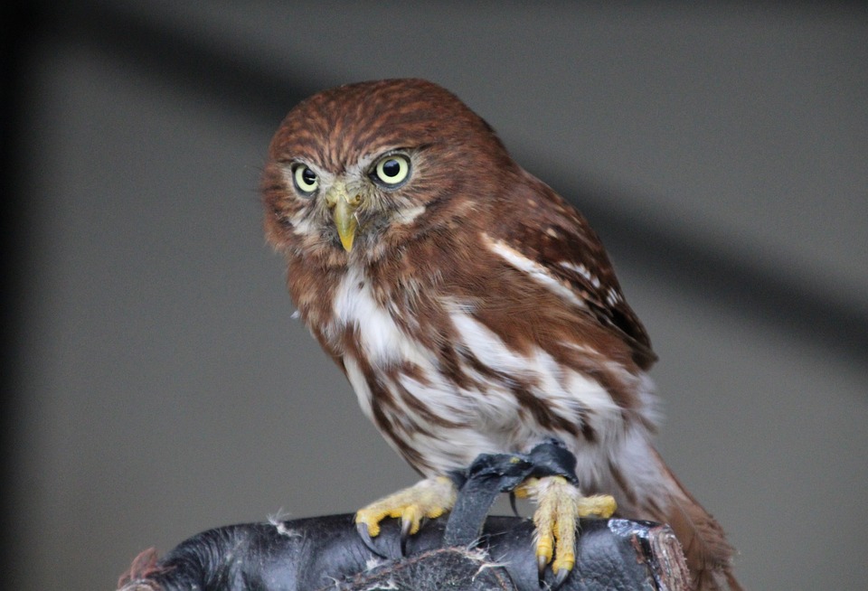 Noctua NH-U12A TR4-39 CPU Liquid Cooler Review: A Highly Effective and Quiet Cooling Solution for Ryzen Threadrippers