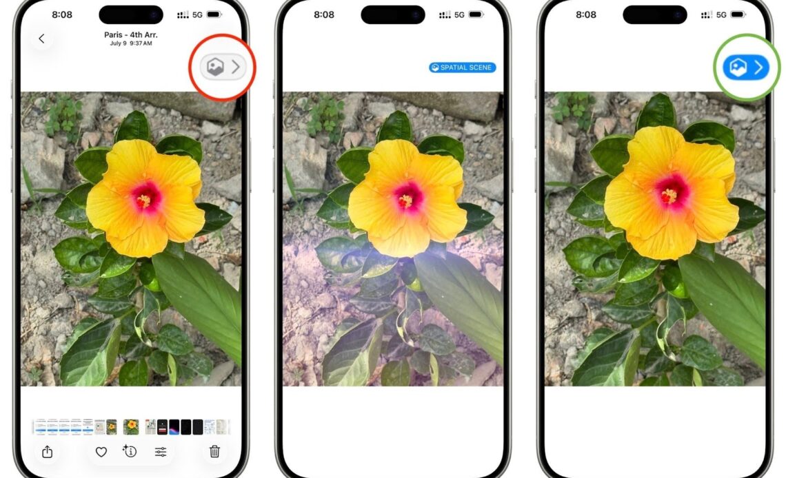 Three smartphones display the same photo of a yellow hibiscus flower with a red center, surrounded by green leaves and soil. Each screen shows a different viewing mode: one with a timestamp and location ("Paris - 4th Arr. July 9 9:37 AM"), one labeled "SPATIAL SCENE," and one with a blue-circled icon, suggesting varied photo features or augmented reality options.